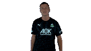 E-Sports Fifa Sticker by Borussia Mönchengladbach