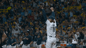 Tampa Bay Rays Sport GIF by MLB