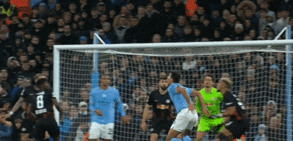 Alfie16 giphyupload GIF
