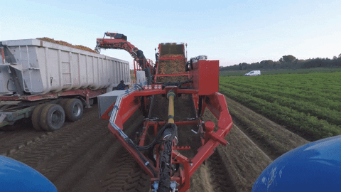 ASA-LIFT giphyupload vegetables harvest onion GIF