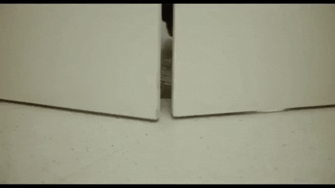 circus111 giphygifmaker GIF
