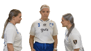 Floorball Salibandy Sticker by F-liiga