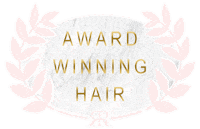 RoutesHairExt salon hair extensions routes routes hair Sticker