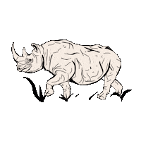 Rhino Gergedan Sticker by Kronotrop