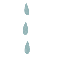 Water Raining Sticker