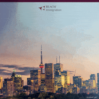 Reach_Immigration passport immigration citizenship GIF