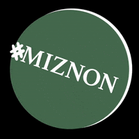 miznonsingapore  GIF