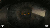 Genre GIF by Westworld HBO