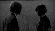 Film Slap GIF