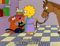 season 3 cat GIF