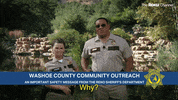 Reno 911 GIF by The Roku Channel