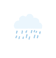 Rain Sticker
