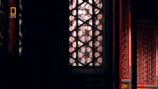 capital of china beijing GIF