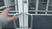 kansas city GIF