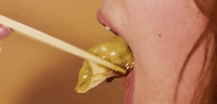 man senses GIF by NOWNESS