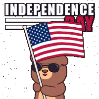 United States Celebration Sticker by BEARISH