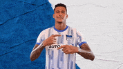 Davie Selke Bundesliga GIF by Hertha BSC