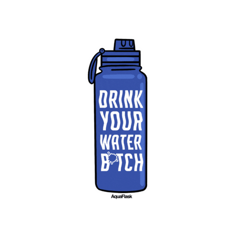 AquaFlask giphygifmaker aquaflask dwyb Sticker