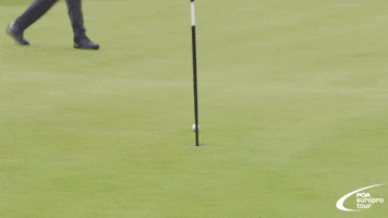 Golf Putt GIF by PGA EuroPro Tour