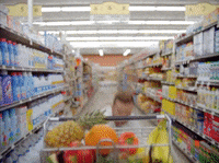 Vegan May GIF by thatsitfruit