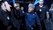Sport GIF by UFC