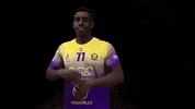 thionvillehandball  GIF
