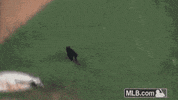 blooper lol GIF by MLB