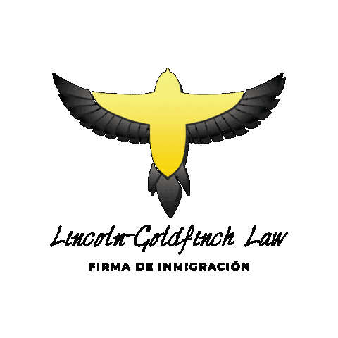 News Beware Sticker by Lincoln Goldfinch Law