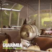 Going To Work New York GIF by La Guarimba Film Festival