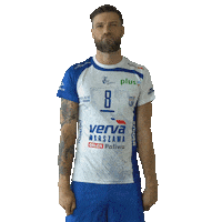 vervawarszawa swipe up volleyball volley pallavolo Sticker