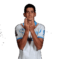 Ligue 1 Football Sticker by Olympique de Marseille