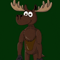 DoYouMoose discord web3 pin reminder GIF