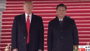 zheng zhi GIF