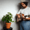 Cultivar GIF by ZEEBA