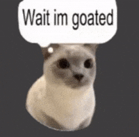 Wait Im Goated GIF