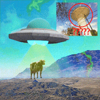 Vintage 90S GIF by ruidovacio