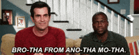 Modern Family No GIF