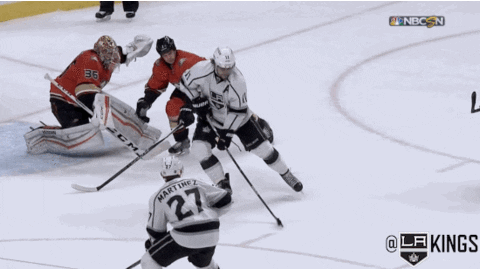 nhl GIF