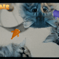 Happy Play GIF by KPN