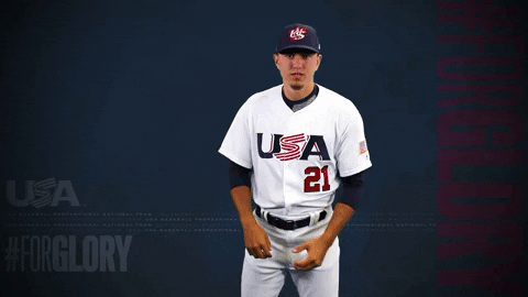 Pro GIF by USA Baseball