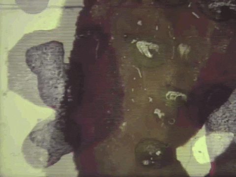 hand painted film GIF by Charles Pieper