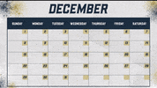 GIF by Akron Zips