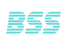 세븐틴 Booseoksoon Sticker