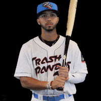 Baseball Swing GIF by Rocket City Trash Pandas