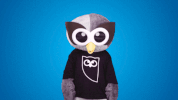 look up GIF by Hootsuite