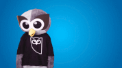mascot lose GIF by Hootsuite