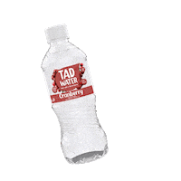 Tadwater Sticker by TAD Flavoured Water