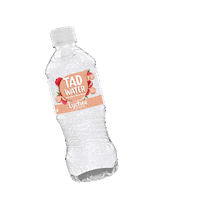 Tadwater Sticker by TAD Flavoured Water