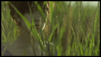 GIF by It Felt Like Love