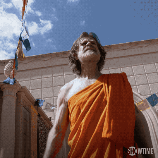 #shameless #season8 GIF by Showtime